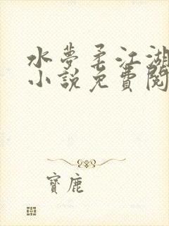 水梦柔江湖侠女小说免费阅读封面