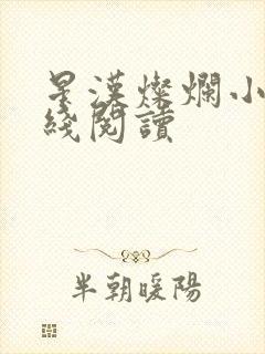 星汉灿烂小说在线阅读