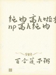 纯肉高h啪校园np高h纯肉