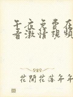 午夜免费在线观看激情视频