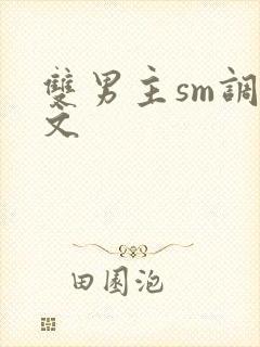 双男主sm调教文封面