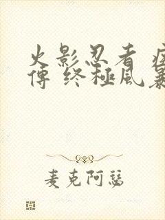 火影忍者 疾风传 终极风暴4