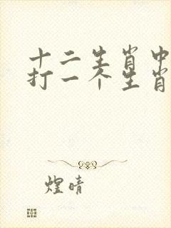 十二生肖中一个打一个生肖