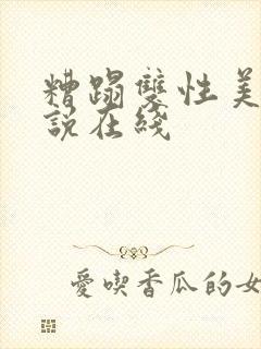 糟蹋双性美人小说在线封面