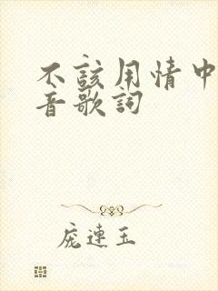 不该用情中文谐音歌词