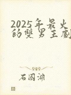 2025年最火的双男主剧