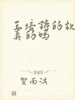 王培铸的故事是真的吗