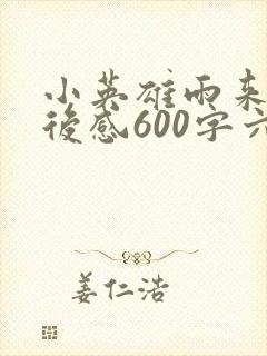 小英雄雨来的读后感600字六年级