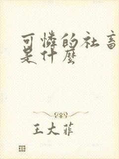 可怜的社畜讲的是什么