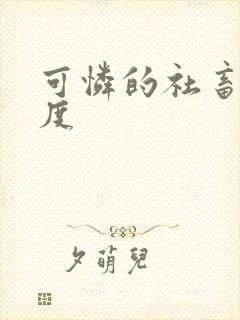 可怜的社畜 东度