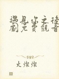 遇见你之后电视剧免费观看全集