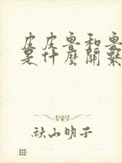 皮皮鲁和鲁西西是什么关系