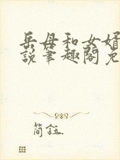 岳母和女婿的小说笔趣阁免费阅读全文无弹窗