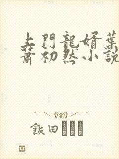 上门龙婿叶辰,萧初然小说