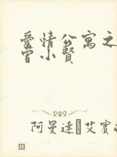 爱情公寓之极品曾小贤