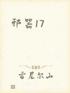 邪器17