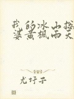 我的冰山总裁老婆黄枫雨天