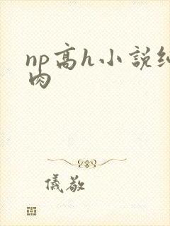 np高h小说纯肉