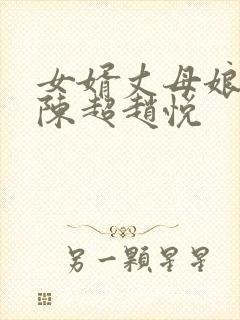 女婿丈母娘小说陈超赵悦封面