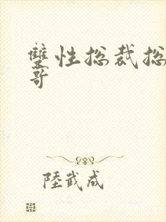 双性总裁总被哥哥