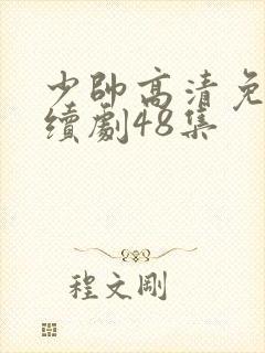少帅高清免费连续剧48集