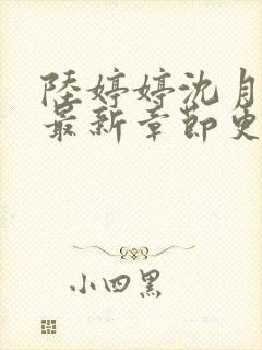 陆婷婷沈月小说最新章节更新