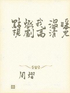 点燃我温暖你电视剧高清免费封面