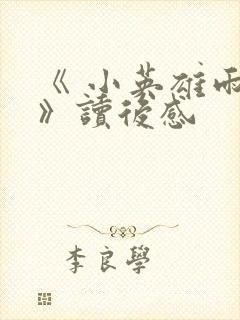 《 小英雄雨来》读后感