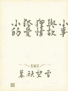 小狐狸与小兔子的爱情故事