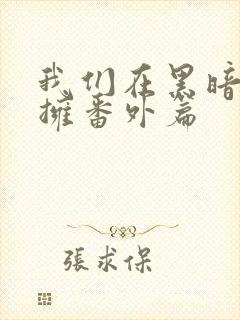 我们在黑暗中相拥番外篇封面