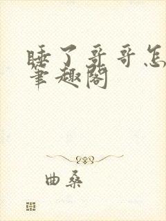 睡了哥哥怎么办笔趣阁封面