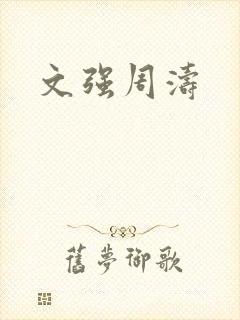 文强周涛