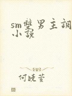 sm双男主调教小说