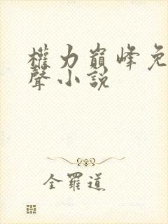 权力巅峰免费有声小说