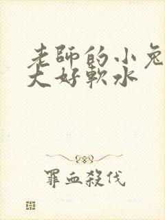 老师的小兔子好大好软水