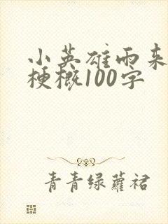 小英雄雨来全书梗概100字封面