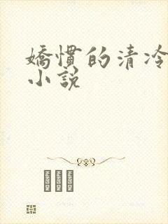 娇惯的清冷美人小说