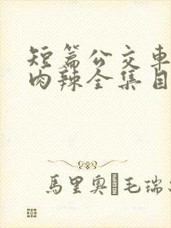 短篇公交车高h肉辣全集目录