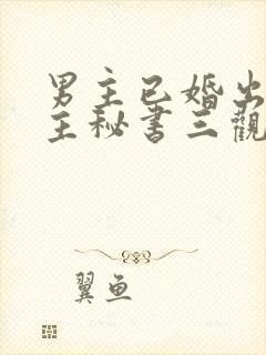 男主已婚出轨女主秘书三观不正小说