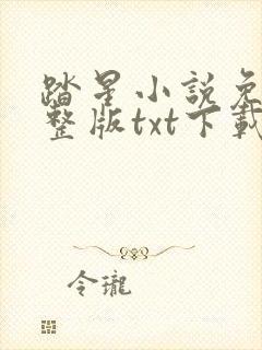 踏星小说免费完整版txt下载