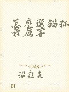 怎么选猫抓老鼠最厉害