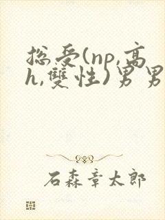 总受(np,高h,双性)男男