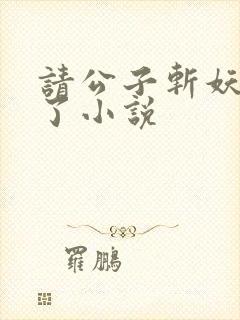 请公子斩妖裴不了小说