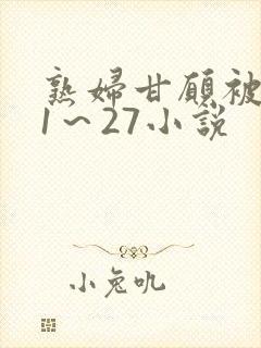 熟妇甘愿被调教1～27小说封面