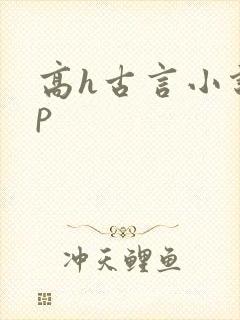 高h古言小说np封面