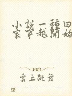 小说一种田从全家穿越开始封面