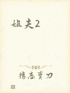 姐夫2封面