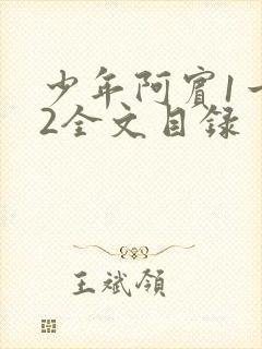 少年阿宾1一72全文目录封面