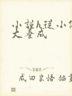 小说h从小做到大养成