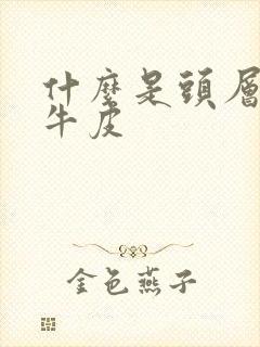 什么是头层植鞣牛皮